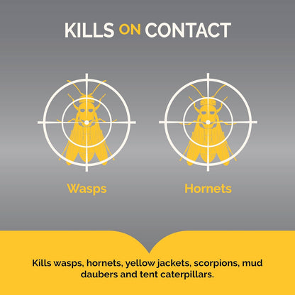 Hot Shot Wasp & Hornet Killer Spray, For Insects Eliminates the Nest, Sprays Up To 27 Feet, 14 fl Ounce, 2 Pack
