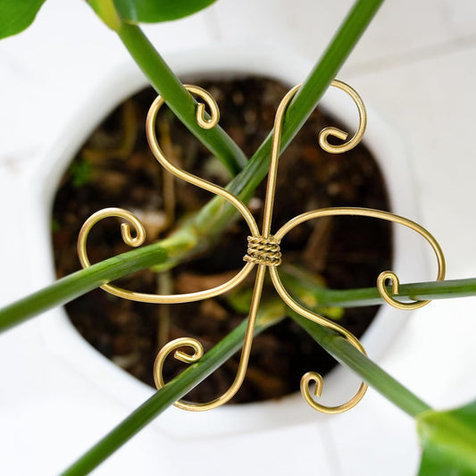 Durable Monstera Plant Support Hooks 5.5in - 5-Piece Set for Indoor Plant Stabilization