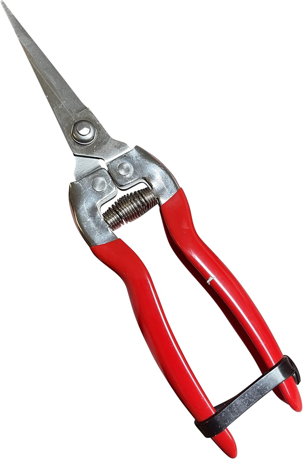 GARDEN GURU Straight Stainless Steel Pruner Pruning Shears Clippers Snips – Sharp Bonsai Cutter Plant Trimming Scissors – Straight Blade – Great for Roses Flowers Herbs Fruits - 1 Case (50 Pcs)