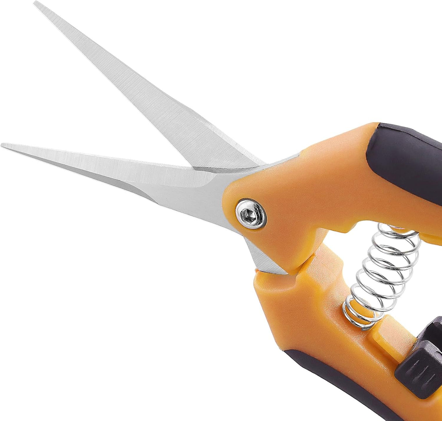 15 PCS 6.5 inch Garden Pruning Shears, Gardening Hand Pruners with Straight Stainless Steel Precision Blades, Pruning Shears Bud Trimming Scissors for Flowers Branches Precise Cuts