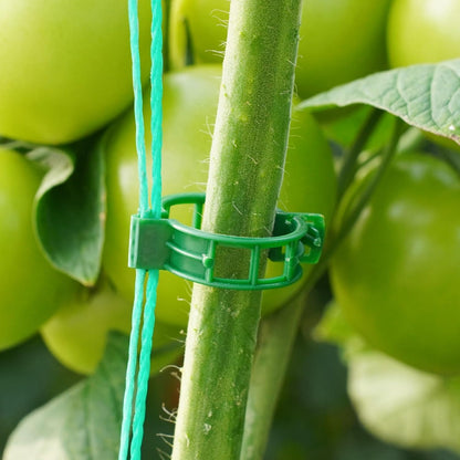 300 Pcs Plant Support Clips,Plastic Clips for Securing Plants,Tomato Vine Clips,Plant Fixing Clips,Garden Clips for Climbing Plants,Grape and Vine Vegetables (300, Green)