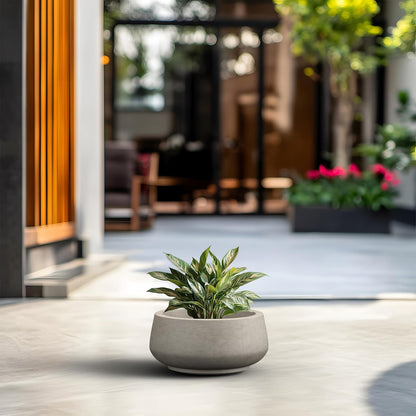 Kante 12.5" Dia Round Concrete Bonsai Planters, Outdoor Indoor Garden Plant Pot with Drainage Hole for Home, Patio, Garden, Weathered Concrete
