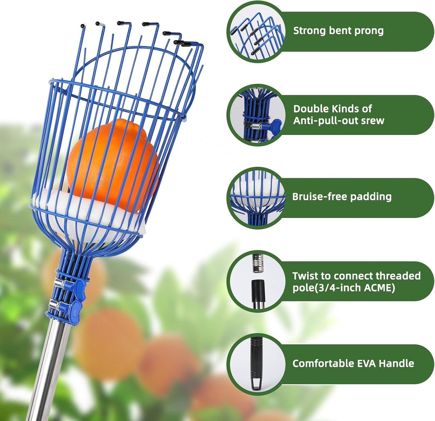 8FT Fruit Picker with Large Basket Telescoping Fruit Picker Pole Foam Padding Prevents Bruising Suitable for Apples Mangoes Pears Oranges Avocados, Blue (Pole Included)
