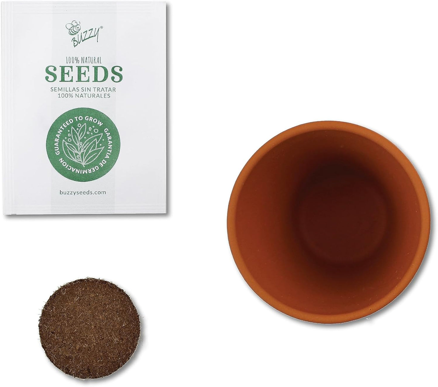 BUZZY Seeds Radiant Collection Grow Kits, 12-Pack Mini Terracotta Pots with Aloe, Christmas Basil, and Spruce Seed Packs,All-in-One Starter Set for All Ages, Gardening Gifts, Stocking Stuffers