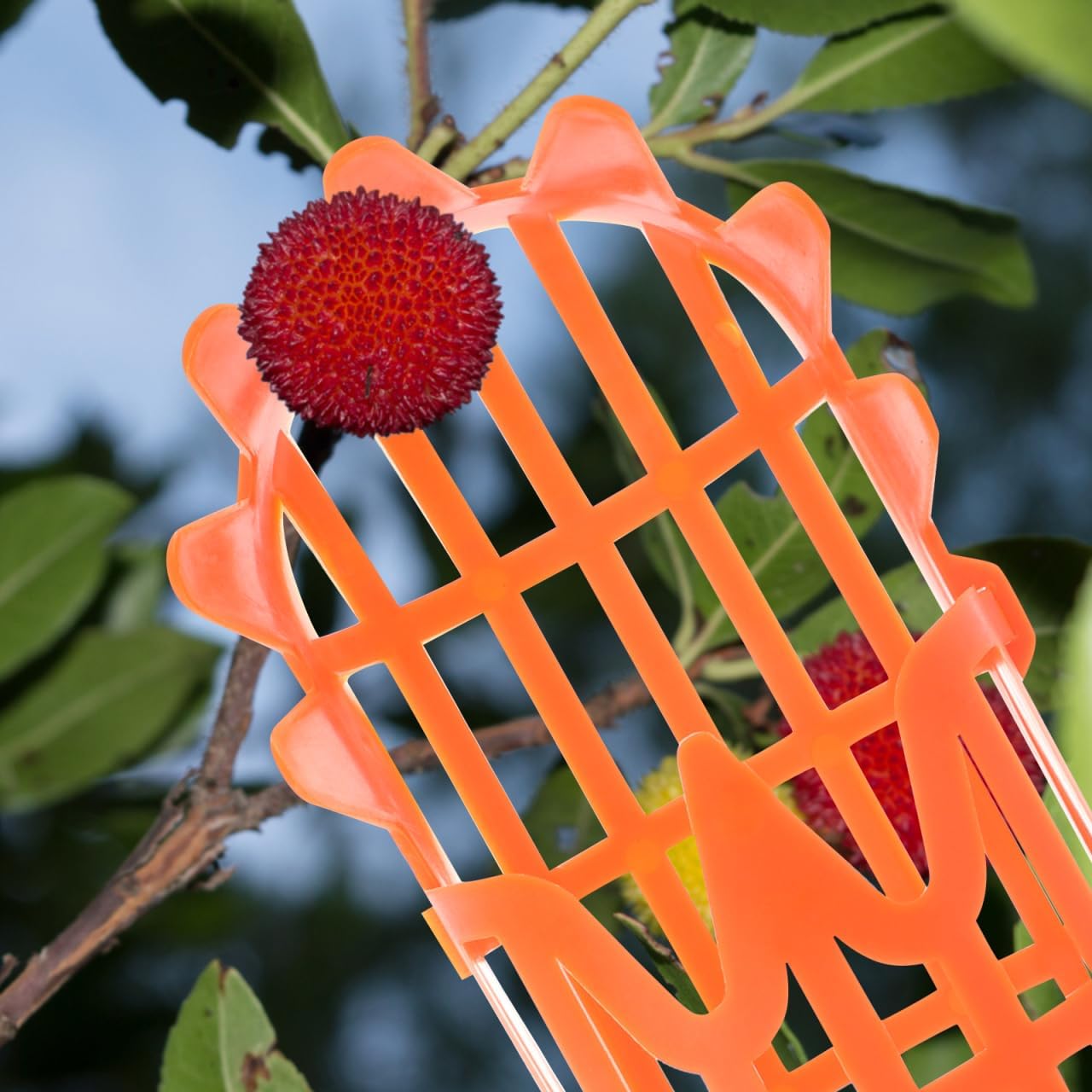 2pcs Fruit Picker Tool Basket Jujube and Pomegranate Harvesting Tool for Garden Telescoping Fruit Catcher for Orchard Use