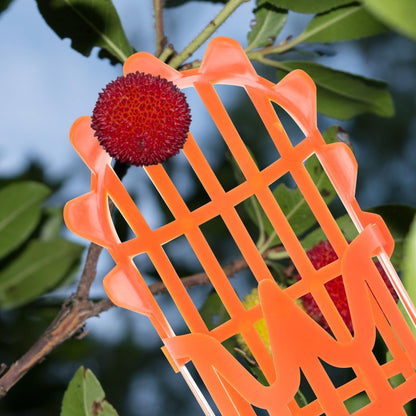 2pcs Fruit Picker Tool Basket Jujube and Pomegranate Harvesting Tool for Garden Telescoping Fruit Catcher for Orchard Use
