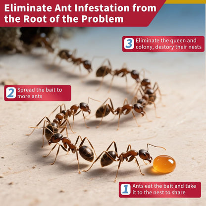 Ready-to-Use Ant Gel Bait, Ant Control for Indoors and Outdoors Use - 1 x 30-Gram Tube