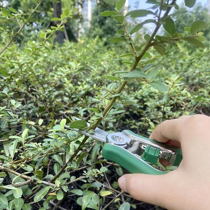 FLORA GUARD 6.5 Inch Micro-Tip Pruning snip Gardening Hand Pruning Shears Trimming Scissors with Stainless Steel(Green)