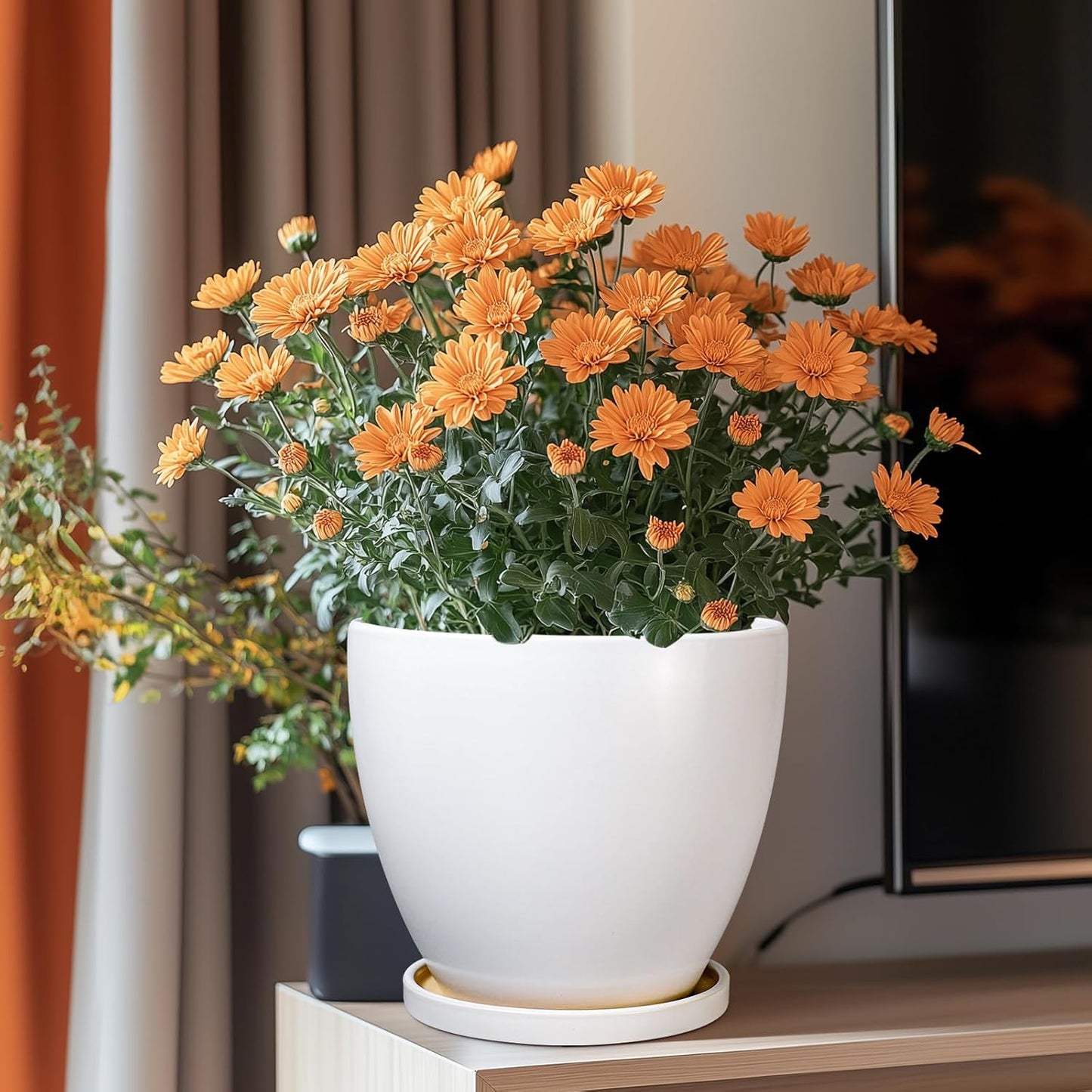 8 Inch Plant Pot - Ceraimc Planter for Indoor Outdoor Plants, Round Flower Pots with Drainage and Tray, House Decor, White