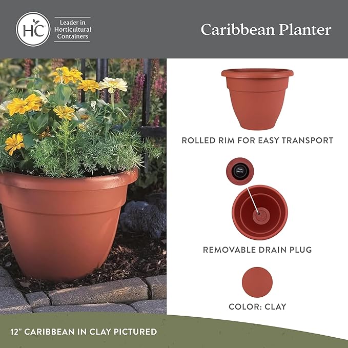 The HC Companies Caribbean Planter Pot - Outdoor & Indoor Plant Pot with Drainage Hole & Plug - Rolled Rim Plastic Pots for Plants & Flowers - Decorative Plant Pot (12" Clay, Pack of 2)