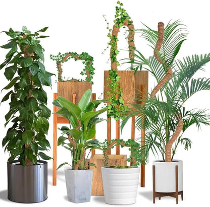 Moss Pole Monstera Plant Support – 48” Bendable Moss Pole Monstera Plant Support, Plant Stakes for Indoor Plants, Tall Plant Sticks Support for Climbing Plants