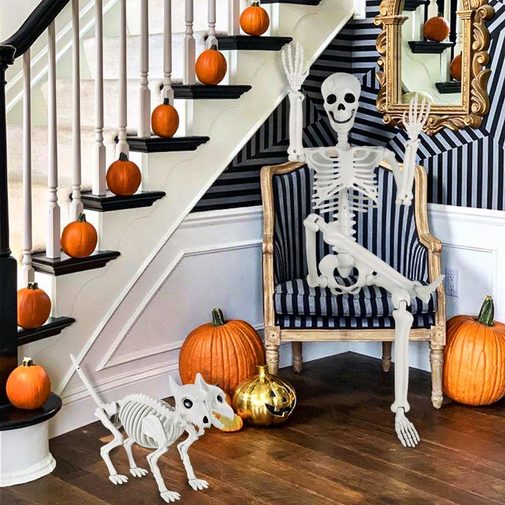 YUJUN 36'' Halloween Skeleton Decoration with 2Head Dog Skeleton, Full Body Posable Skeleton Realistic Plastic Bones Movable Joints for Halloween Party Yard Haunted House Props Indoor Outdoor Decor