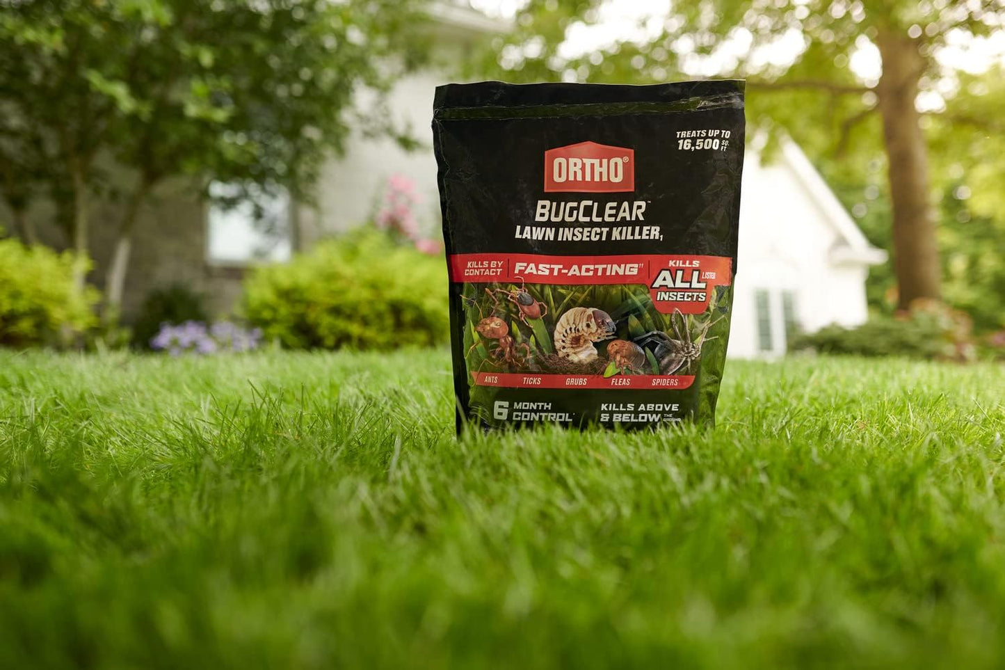 Ortho BugClear Lawn Insect Killer1, Kills Ants, Spiders, Ticks, Fleas, Armyworms and Grubs, Treats up to 16,500 sq. ft., 10 lb. (Pack of 4)