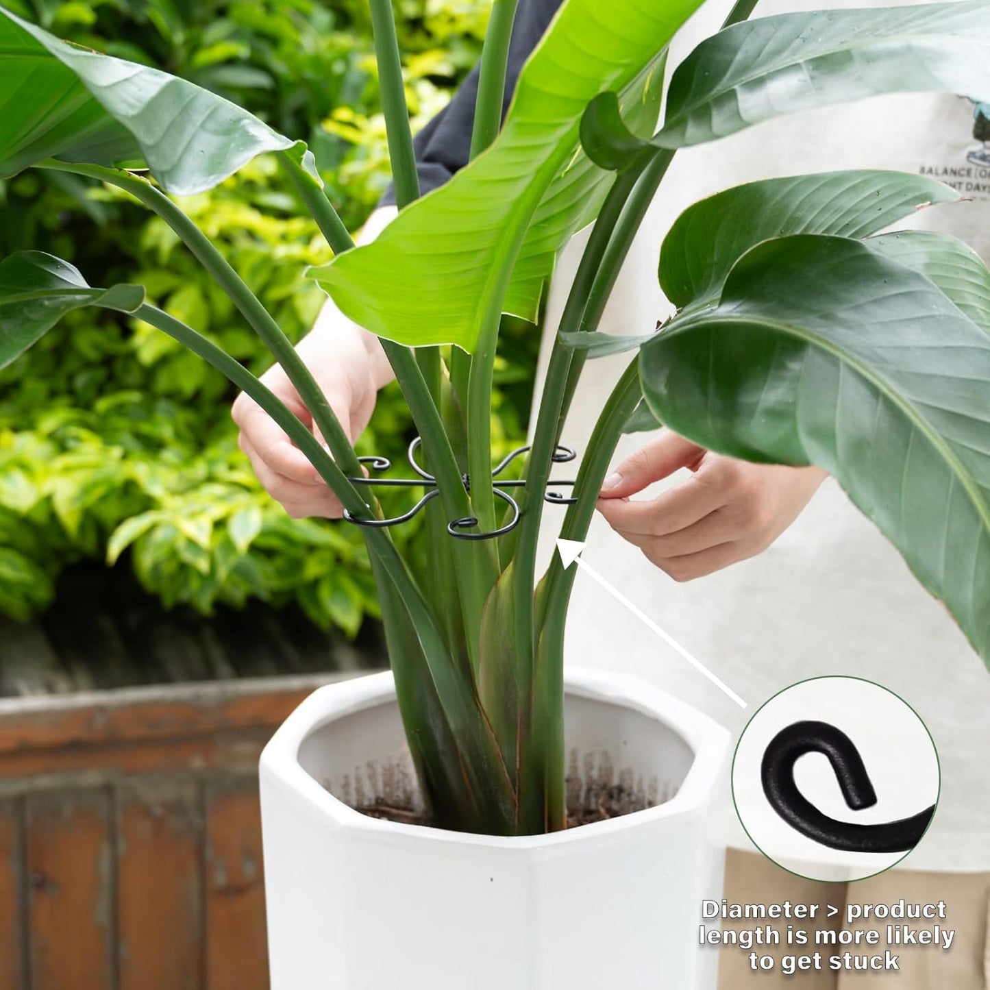Black Monstera Plant Support 5.5IN 5PCS Premium Stem Support System for Indoor Plants, Durable Stabilizer for Monstera and Climbing Plants, Easy Installation Leaf Holder, Fishbone Cactus Stake