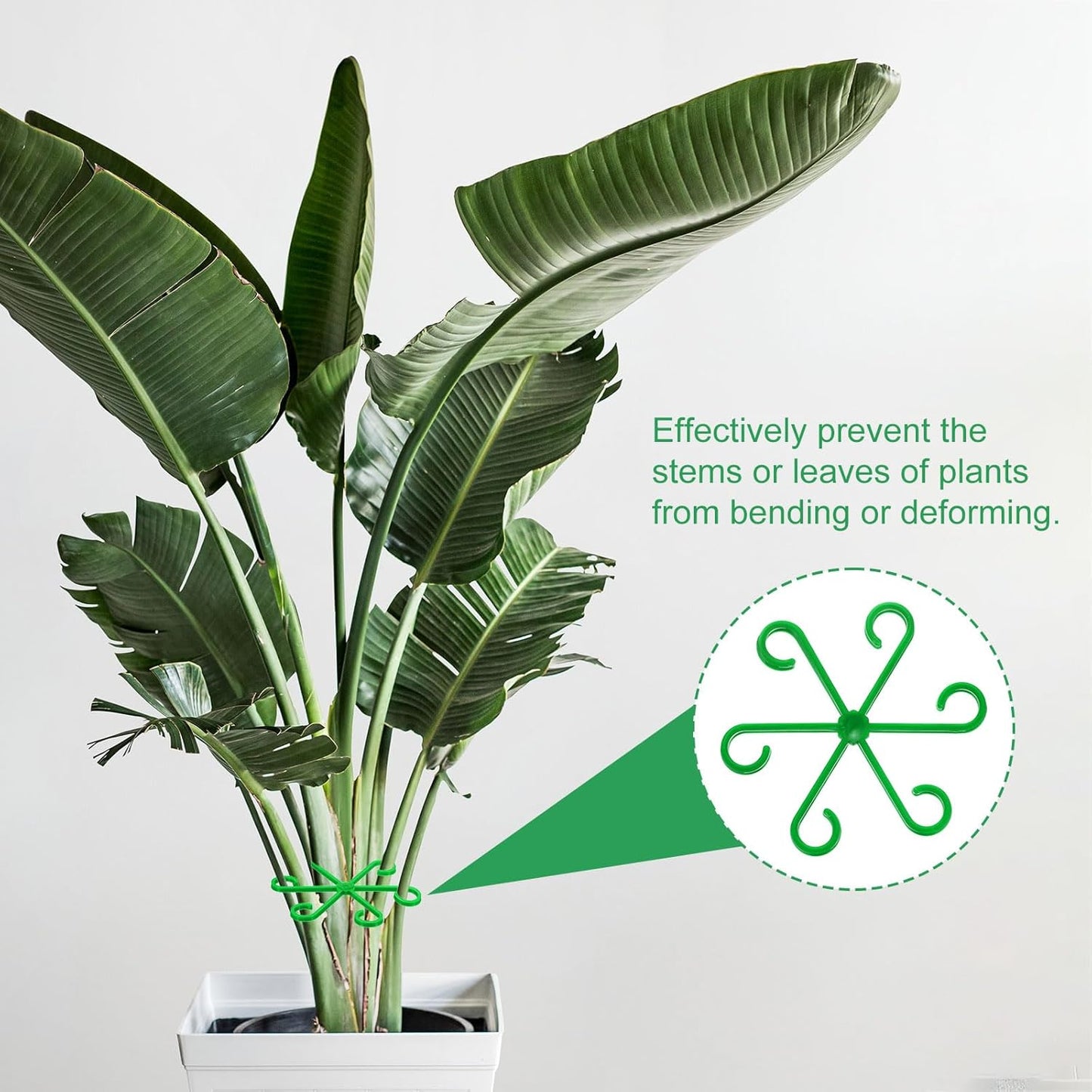 HARFINGTON 8pcs Plant Stem Support 4 Sizes Climbing Houseplant Stem Holder Stakes Reusable Flower Trellis Plant Stand for Outdoor Indoor, Green