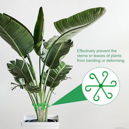 HARFINGTON 8pcs Plant Stem Support 4 Sizes Climbing Houseplant Stem Holder Stakes Reusable Flower Trellis Plant Stand for Outdoor Indoor, Green