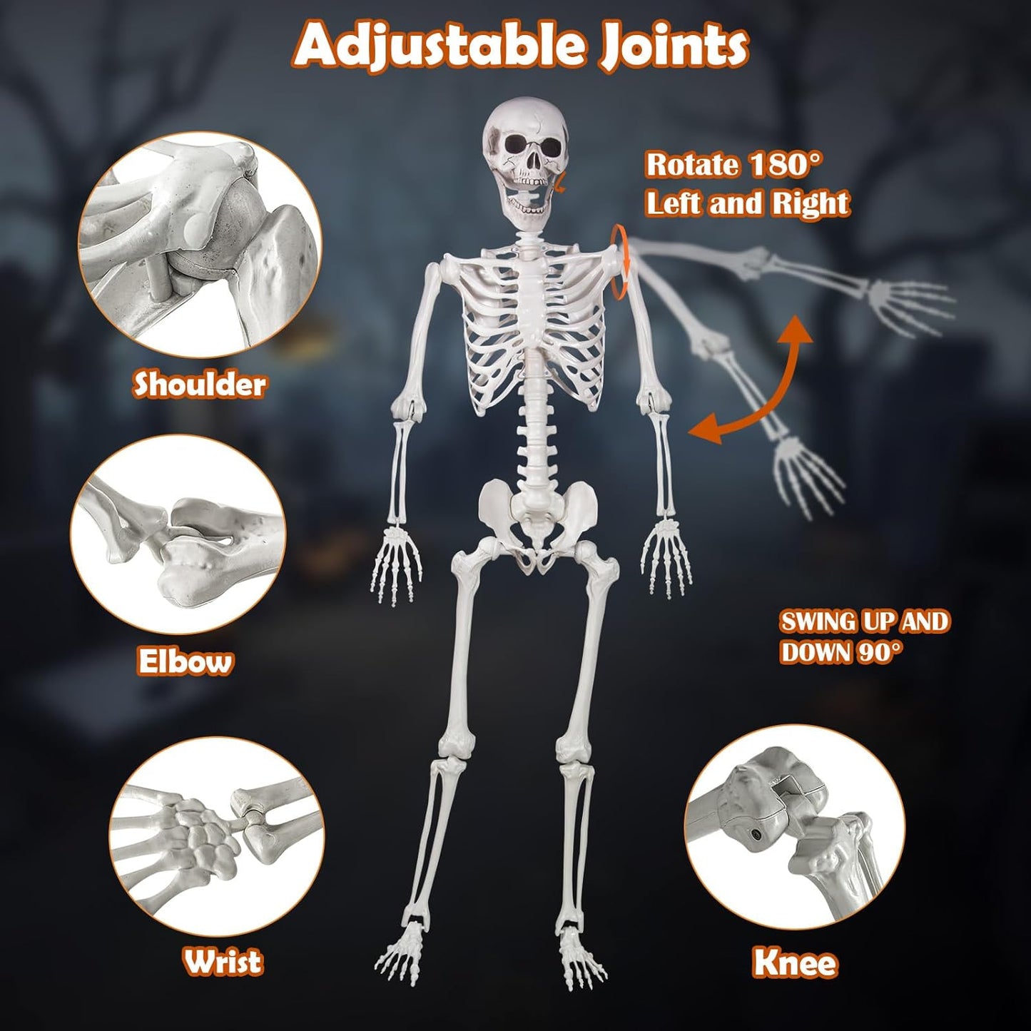 Halloween Skeleton, Realistic Life Size Skeleton with Movable Joints for Halloween Party Haunted House Indoor Outdoor Decoration (5.4ft-1P)