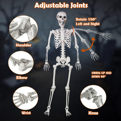 Halloween Skeleton, Realistic Life Size Skeleton with Movable Joints for Halloween Party Haunted House Indoor Outdoor Decoration (5.4ft-1P)