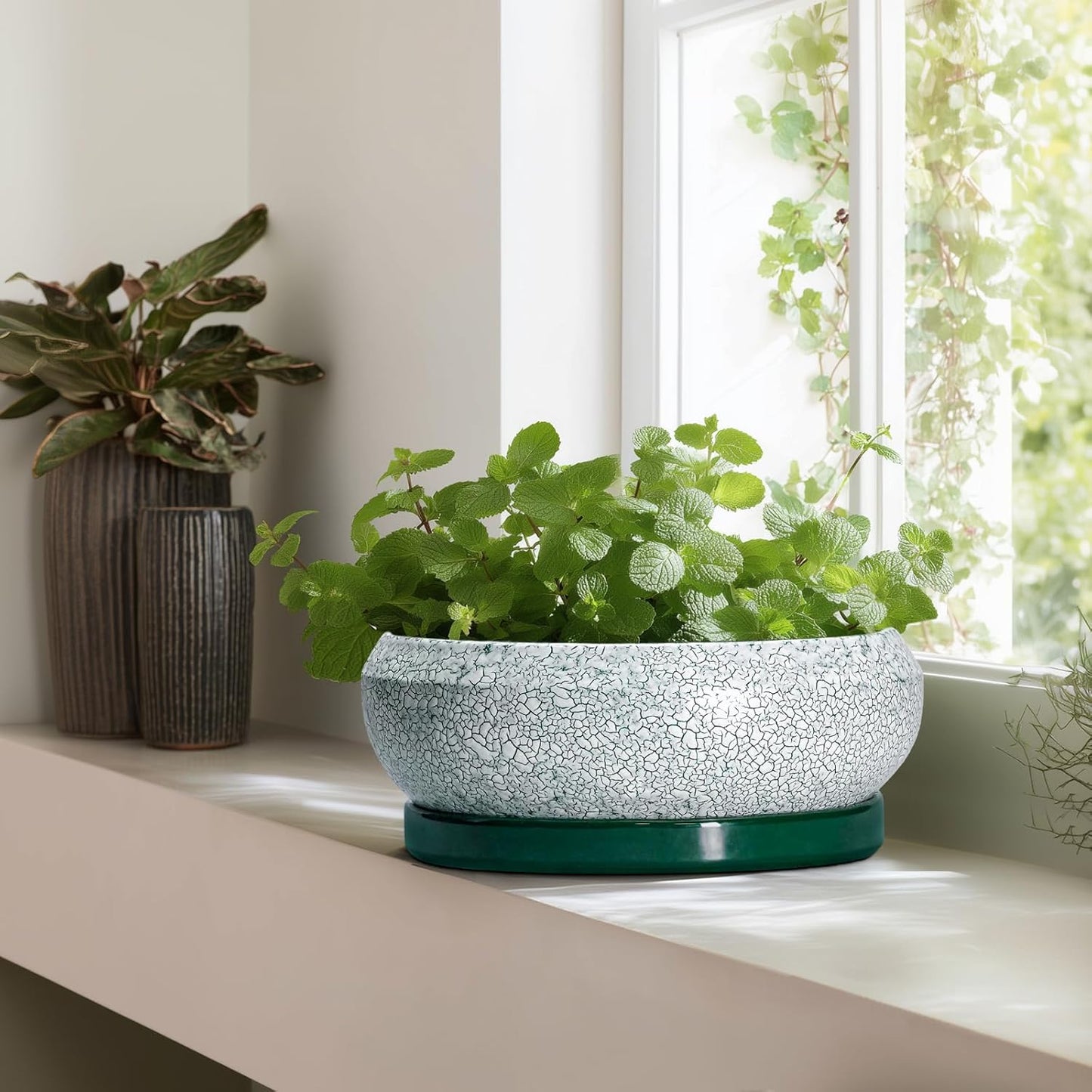 Bonsai Pots 13 Inch - Shallow Ceramic Planter with Drainage Hole and Saucer, Round Succulent Pots for Indoor Outdoor, Large Succulent Planter, Apartment Decor, Gardening Gifts, Green
