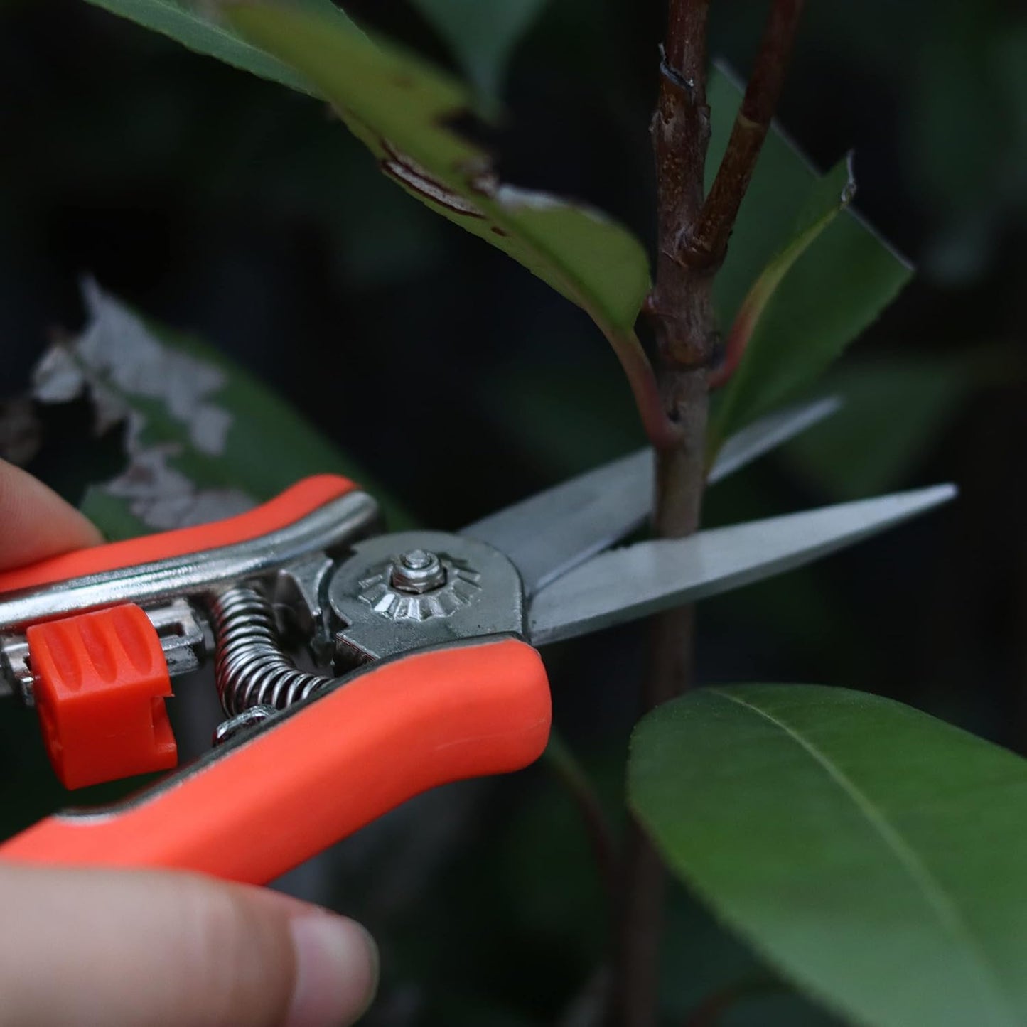 FLORA GUARD 6.5-Inch Floral Scissors, Zinc Alloy with Rubber Handle, Toothed Blade for Quick Cutting, Suitable for Flower Placement, Plant Pruning, Rose or Fruit Picking (6 PCS)