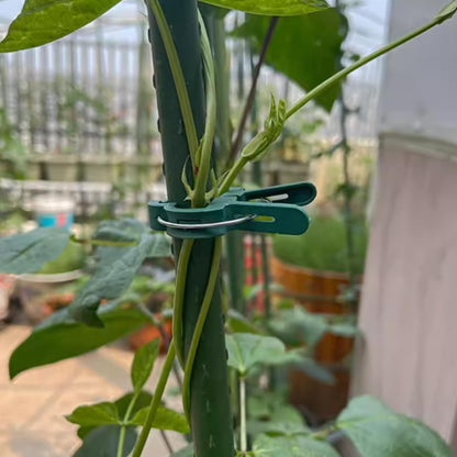 40Pcs Plant Clip Garden Clip Plant 2 Size Reusable Tomato Clip,Multi-Purpose Plant Rattan Clip Rose,Sturdy Cucumber Orchid Clip Plant Support Adjustable Clip Green (20 Large + 20 Small)
