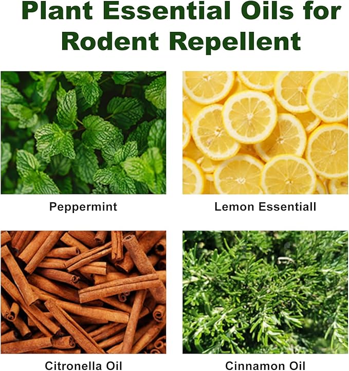 Rodent Repellent with Peppermint Oil -Mouse/Rat/Squirrel Repellent for Garage/Attic/Car Engine - Natural Indoor & Outdoor Mice/Mole Deterrent, Safe vs Moth Balls & Traps (60 Pack)