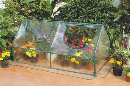 Zenport SH3212A Garden Cold Frame Greenhouse Cloche - 10 Pack