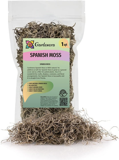 Premium Natural Spanish Moss | Natural Preserved - Great Ground Cover - Filler for Potted Plants - by GARDENERA - 1 Quart Bag