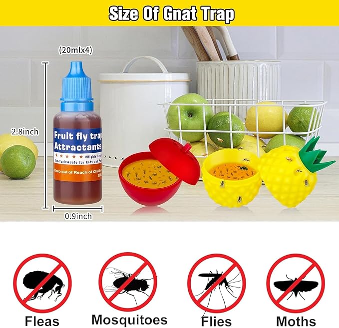 Fruit Fly Trap Refills Liquid Only, Fruit Fly Traps for Indoors,Ready-to-Use Gnats Killer Indoor Trap,Gnat Catcher for Home Kitchen (6 Pack)