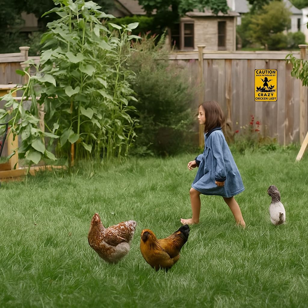 Funny Chicken Gifts Caution Area Patrolled By A Crazy Chicken Lady Tin Sign for Home Farm Chicken Coop Farmhouse Kicthen Garden Decor 8 X 12 Inch (3620)