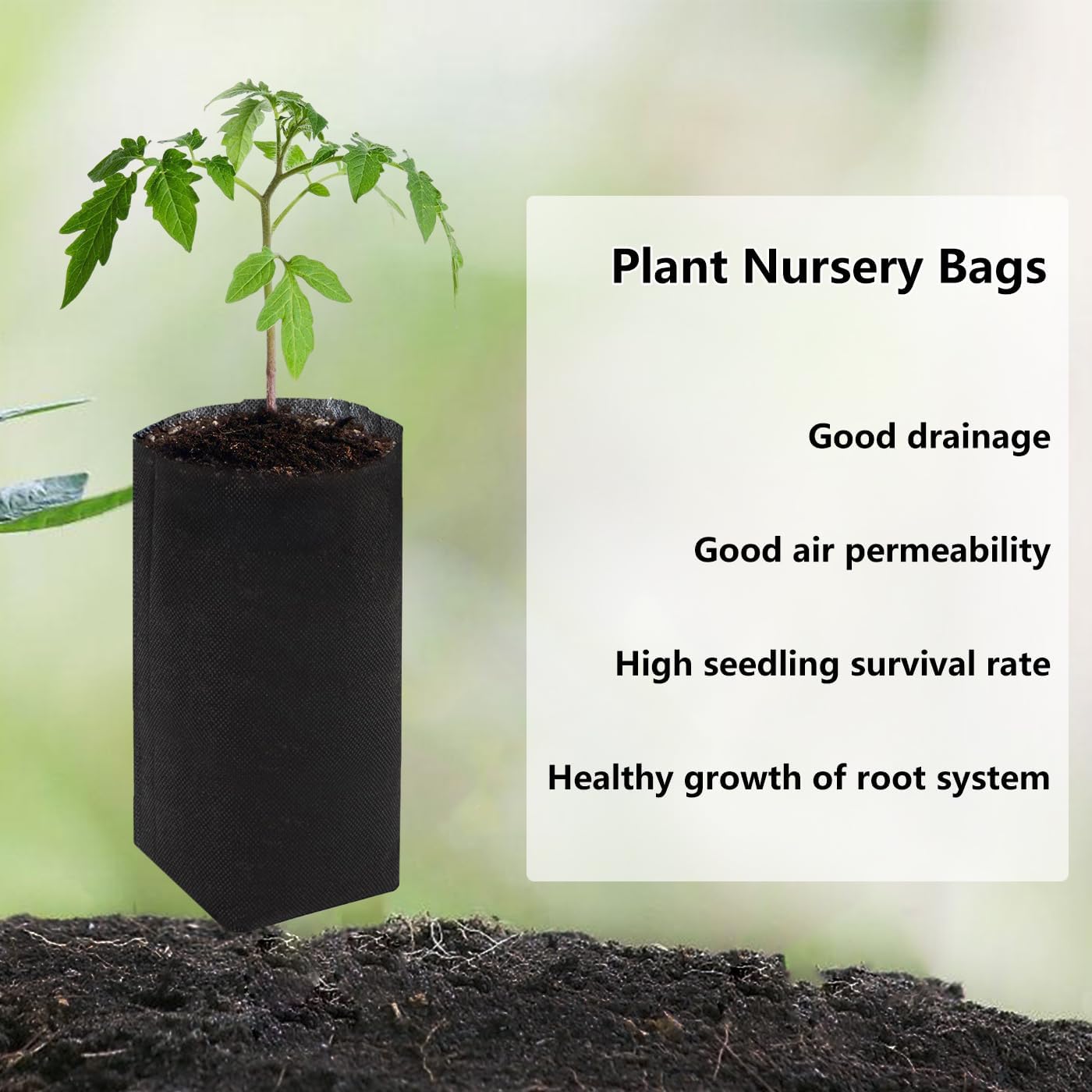 Belit 100 Pcs 10.2" H Deep Nursery Grow Bags, Non-Woven Plants Pots Container for Starting Rooted Plants Vegetable, Flower, Seedling Tree, Black