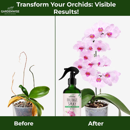 Premium Orchid Plant Food Mist – Orchid Fertilizer Spray – Orchid Food Fertilizer for Blooming – Orchid Plant Care Formula 3-1-2 – Ready-to-Use (8 OZ)