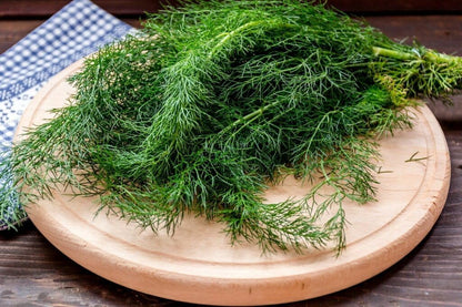 Seeds Dill Mamonth - Heirloom Vegetable - GMO Free