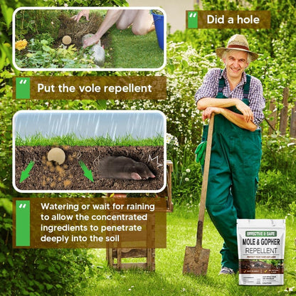 Mole Repellent, Gophers Repellent, Vole Repellant Outdoor, Armadillo Repellant Garden, Moles Control, Groundhog Repellents, Gopher Deterrent for Lawn, Keep Vole Out of Your Yard, Safe to Use-8P