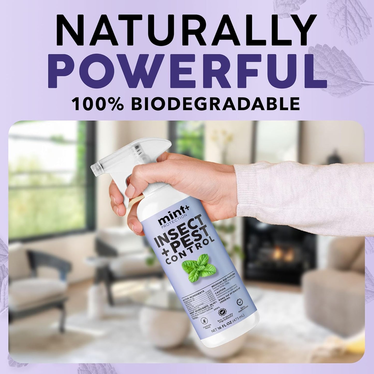 Mint+ Insect and Pest Control Spray, Residue-Free Bug Killer for Indoor & Outdoor Use, 16 oz (475mL)