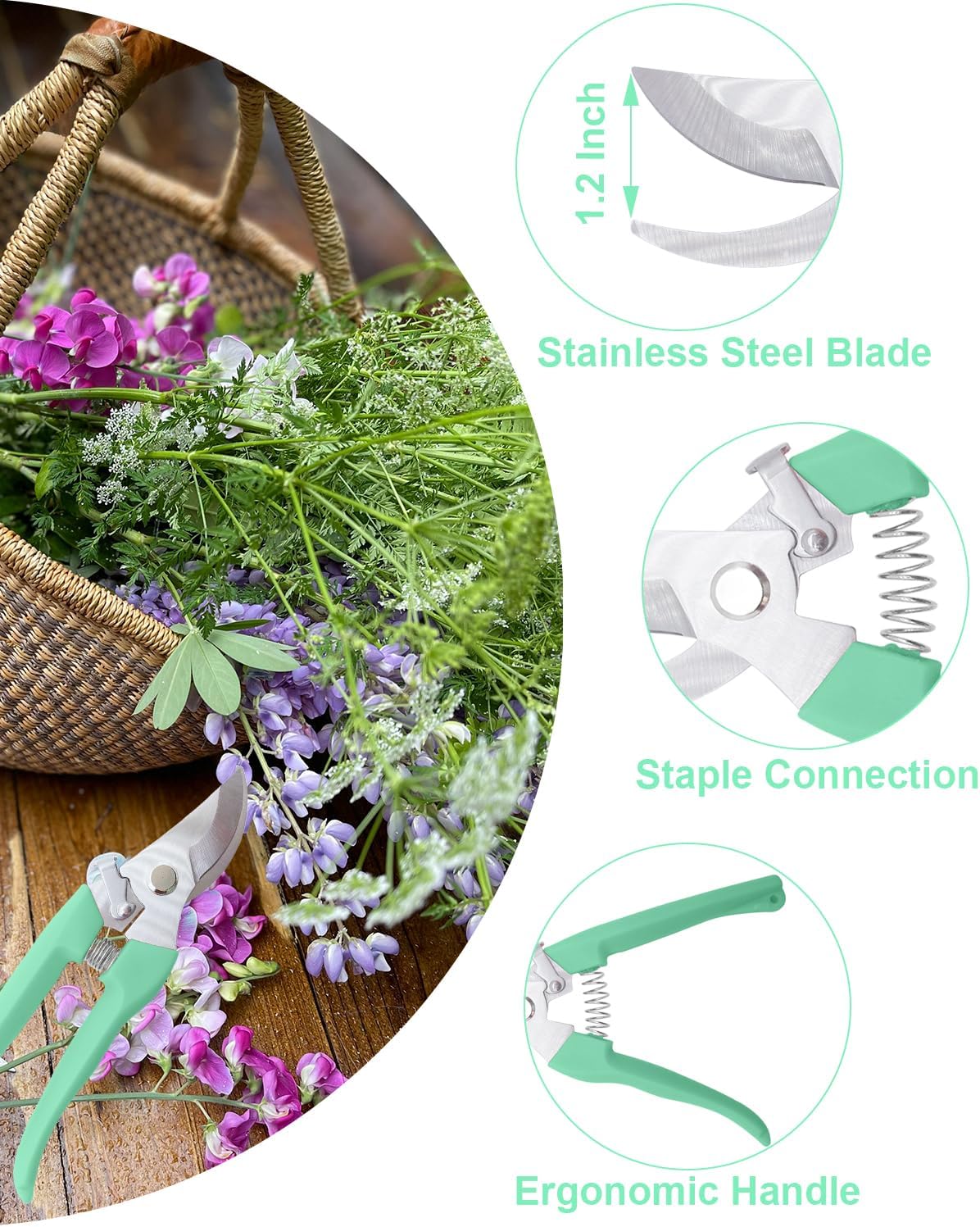 Pruning Shears for Gardening, 1 Pack Garden Scissors for Cutting Fresh Flowers, Floral Clippers for Plants, Fruits (Green)