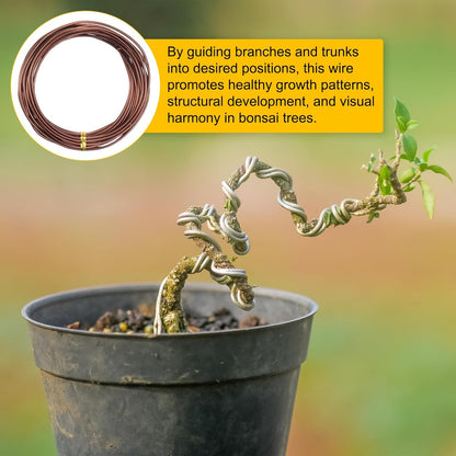 2mm Bonsai Training Wire, 16.4 Feet Total Anodized Aluminum Bonsai Wires for Bonsai Tree Shaping/Branches Fixing/Trunk Holding/DIY Crafting [Bronze]