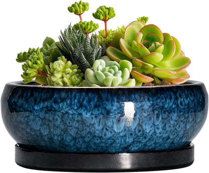 Succulent Pots - 6 Inch Ceramic Bonsai Pots with Drainage Hole and Saucer, Shallow Planter for Indoor Outdoor, Round Succulent Planter, Cactus Pot, Office Decor, Gifts for Plant Lovers, Blue
