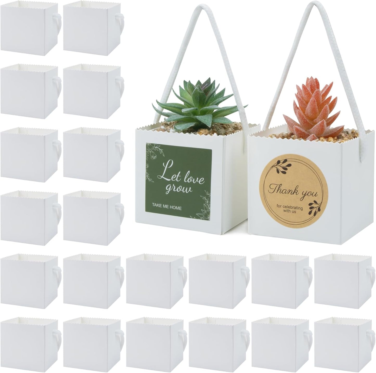 Temlum 2.5 Inch Succulent Wrap Bags (Fits 2.5″ Pots) with Thank You & Let Love Grow Stickers, Small Gift Box for Wedding, Baby Shower, Succulent Party Favors for Guests (White 100pcs)