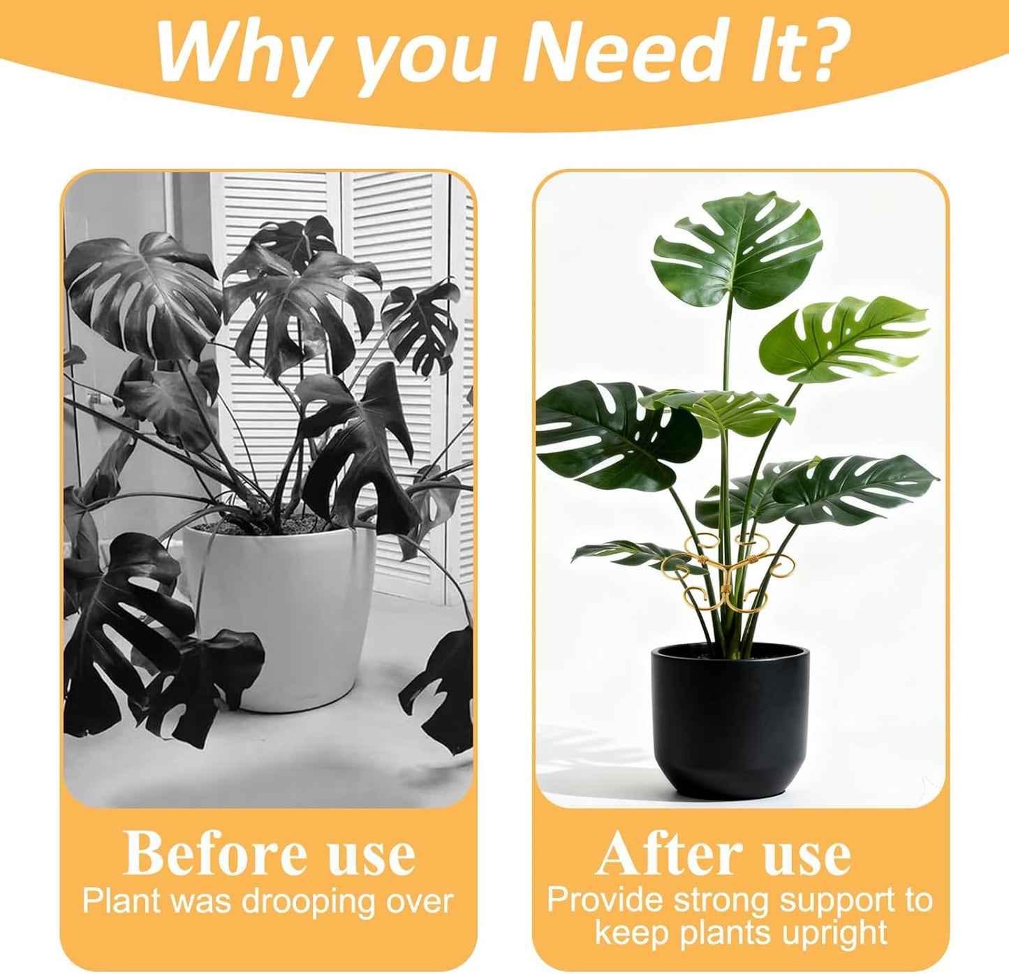 5 Pcs Plant Stem Support, 2025 Iron Monstera Plants Support, Heart Shaped Plant Support, Bamboo Clamp Set for Leaf Stabilization and Support for Outdoor & Indoor Growing Climbing Plants (Gold-5 Pcs)