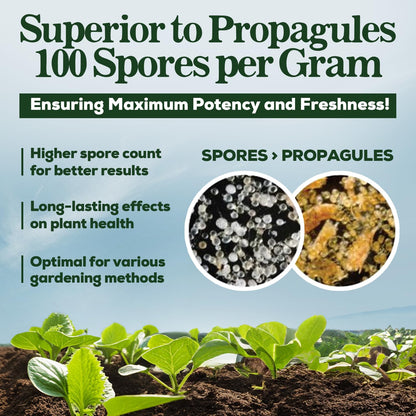 Mycorrhizal Fungi Organic Root Enhancer for Plants, Super Potent 100 Spores Per Gram, 5-Strain Blend, Rapid Results for Gardens, Houseplants, Lawns, Mycorrhizae Smart Grower 125 Grams for 125 Plants