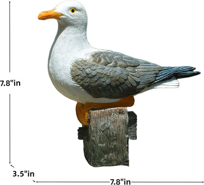 Real Seagull Outdoor Sculpture,Funny Bird Statue,Garden Beach Statue Decor,Resin Animal Seabird Ornaments,Coastal Beach Decor,Patio Decor for Outdoor Table Decorfor Garden,Terrace,Lawn,Yard