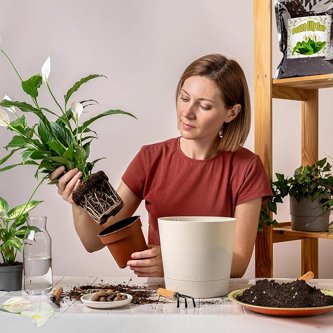 Organic Peace Lily Soil Mix 10qt, Indoor Plants Potting Mix for Planting, Growing, or Repotting Peace Lily Plants, Grow Healthy houseplants Indoors