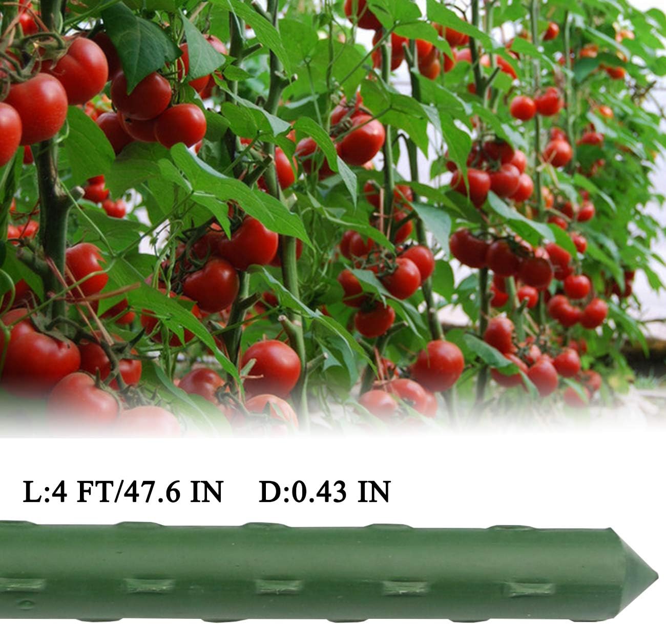 Sunnyglade 50PCS 48” Plant Stakes Garden Tomato Sticks Plant Stakes & Supports for Potted Plants