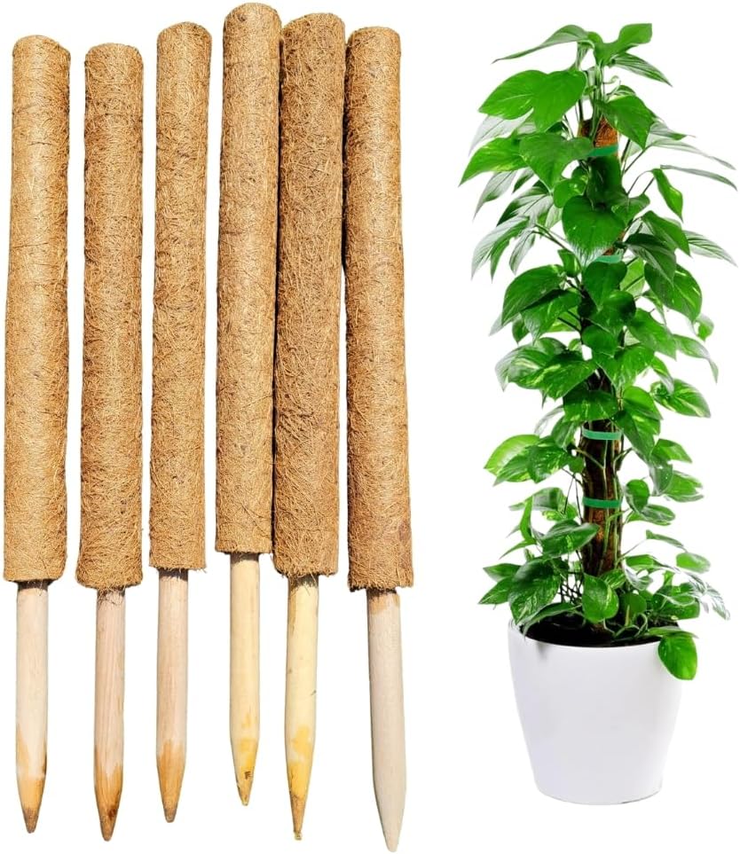 Pack of 6 Coco Coir Pole- Plants Monstera 24" Sized Poles for Climbing Plants, Plant Support Stakes for Indoor/Outdoor Potted Plants