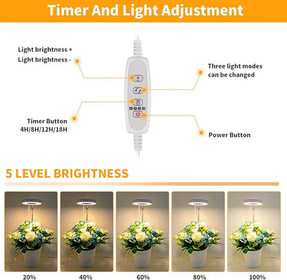GooingTop LED Grow Light, Halo Plant Growing Lamp for Indoor Plants Growth, Full Spectrum Low Light for Small Plants,Timer 4/8/12/18 Hrs & Variable Spectrum White Red Blue,3 Pack