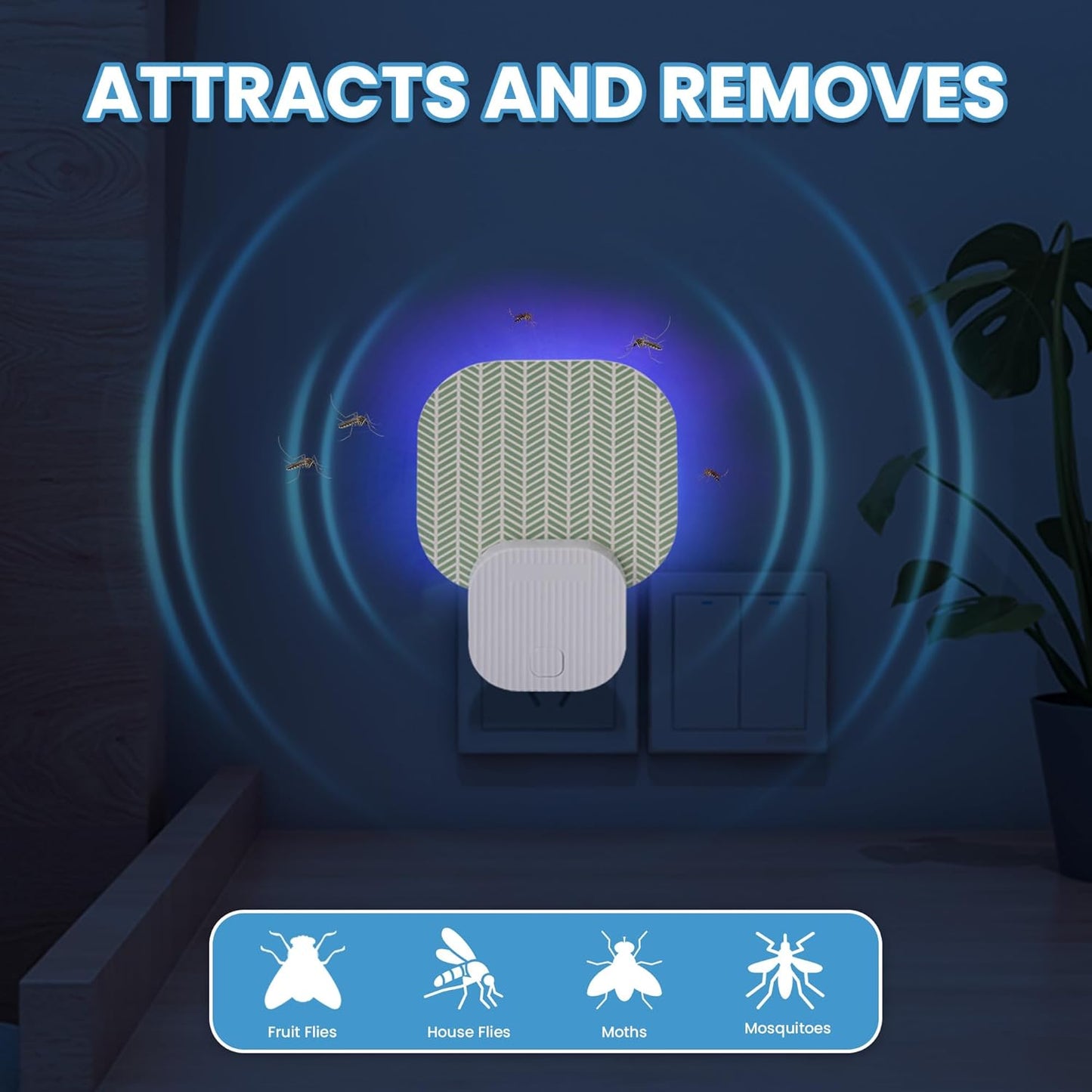 Fly Trap Indoor(1 Device + 3 Glue Cards), Mosquito Trap for Mosquito, Flies, Fruit Flies, Moths, Gnats, gnat Traps for House Indoor