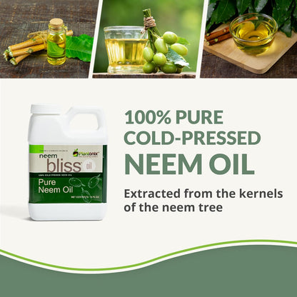 Neem Bliss (32 Fl Oz) - Pure Neem Oil Concentrate - 100% Cold Pressed Neem Oil - All-Natural Neem Oil Concentrate - Pure Neem Oil Extract - Unrefined Neem Oil for Hair - Neem Seed Oil Concentrate