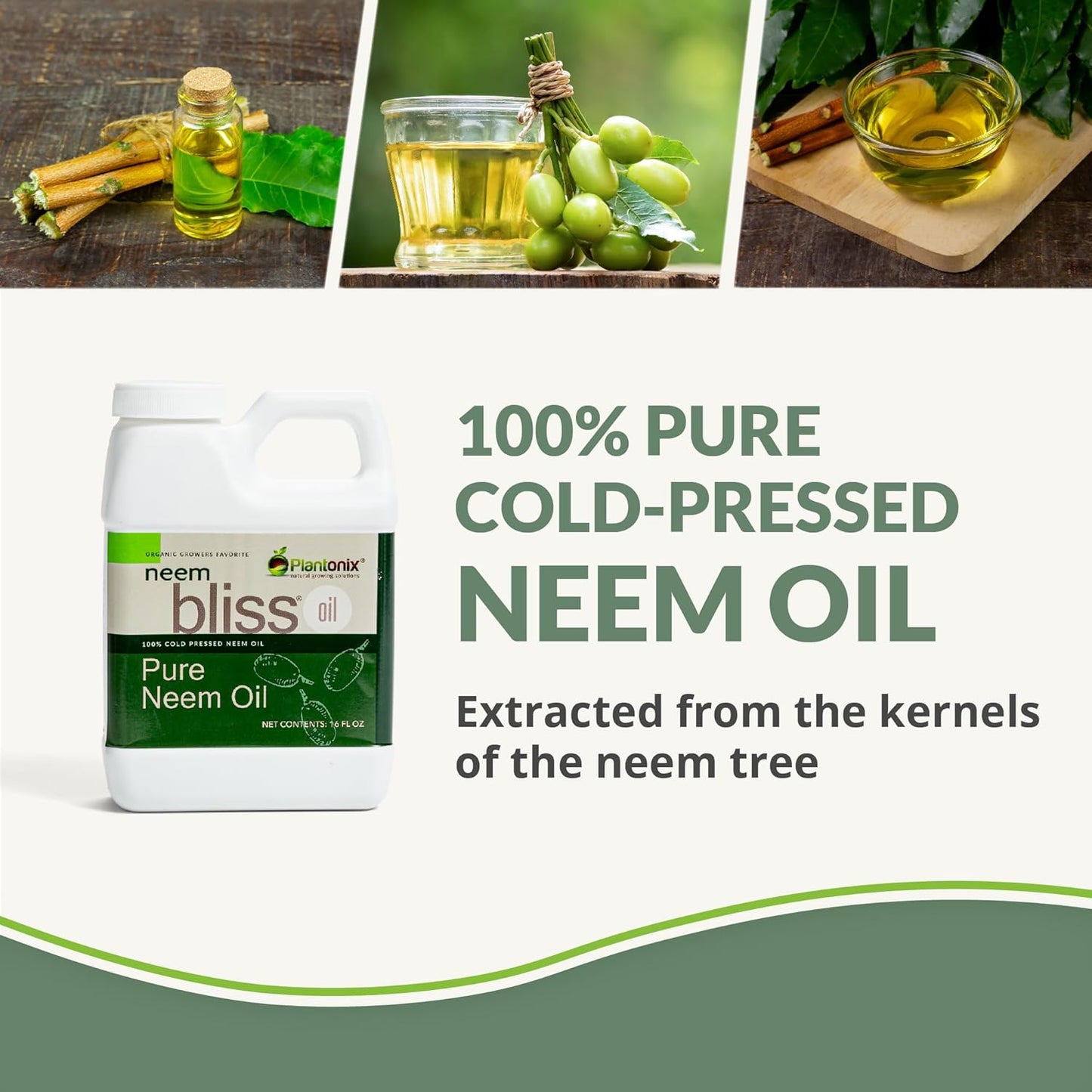 Neem Bliss (1 Gallon) - Pure Neem Oil Concentrate - 100% Cold Pressed Neem Oil - All-Natural Neem Oil Concentrate - Pure Neem Oil Extract - Unrefined Neem Oil for Hair - Neem Seed Oil Concentrate