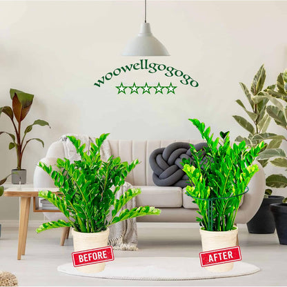 Snake Plant Support Stake - Half Round Peony Stake and Support, Hydrangea Support Cage Ring Stabilizer, Plant Supports for Potted Indoor Plants (4 Pack, 14x8Inch)